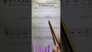Violin Adult Learners Online | Frère Jacques Violin Lesson for Adults Step by Step