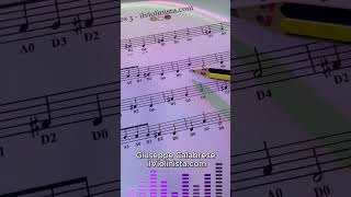 Violin adult beginner 🎻 Frère Jacques – Version 3